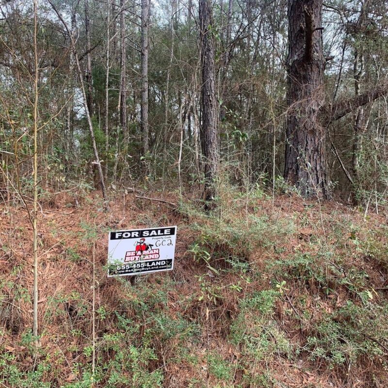 Florida Hunting Land & Recreational Properties for Sale