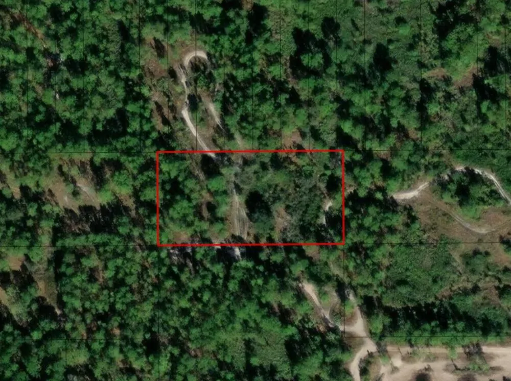 CLE74 Florida Recreational Land, Residential and Hunting Properties