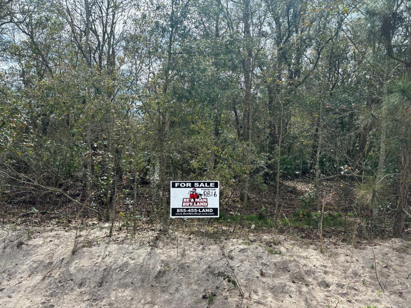 signpic-1.jpg