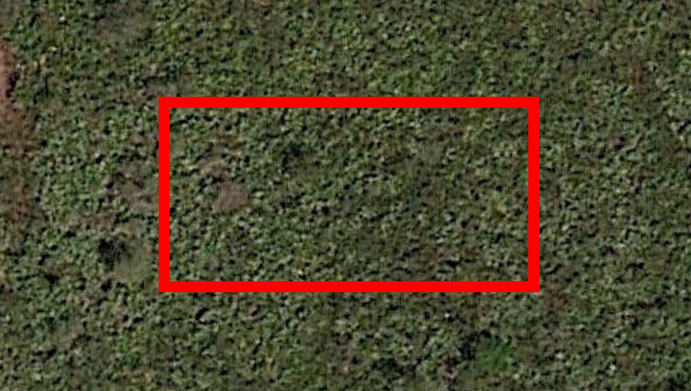 zoomin-3.jpg