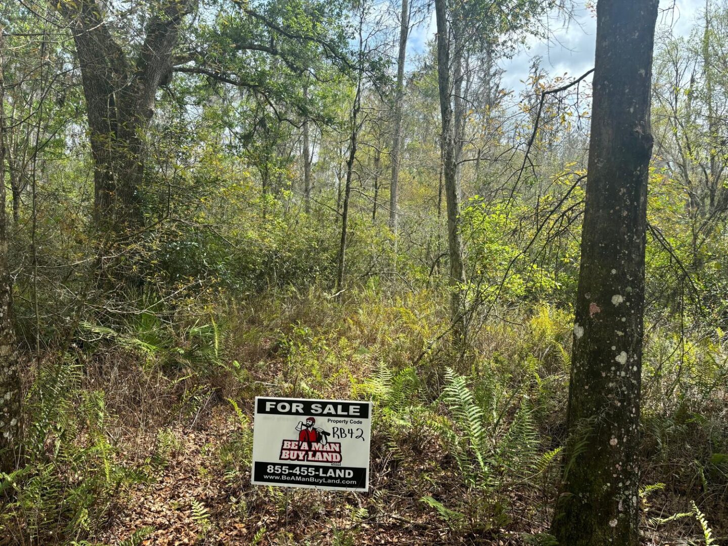 sign-3.jpg