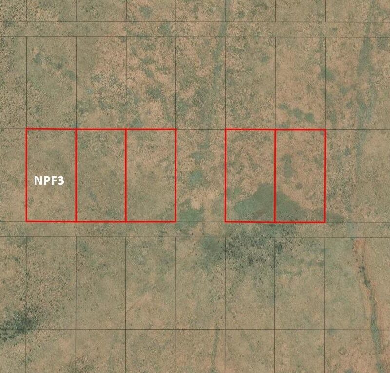 NPF3