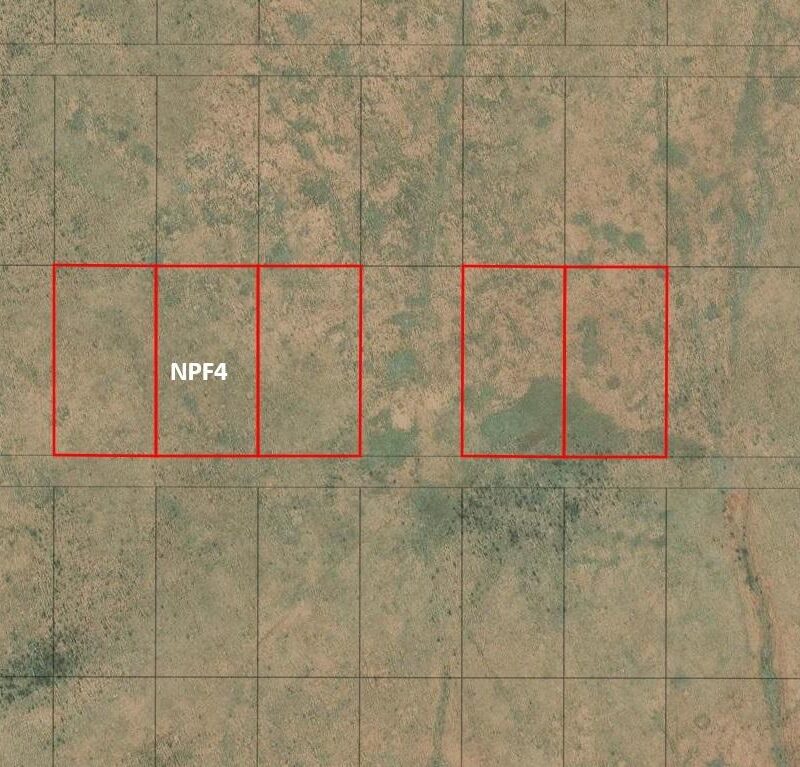 NPF4
