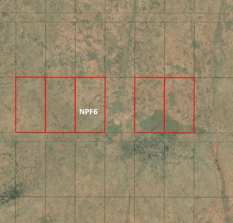 NPF6
