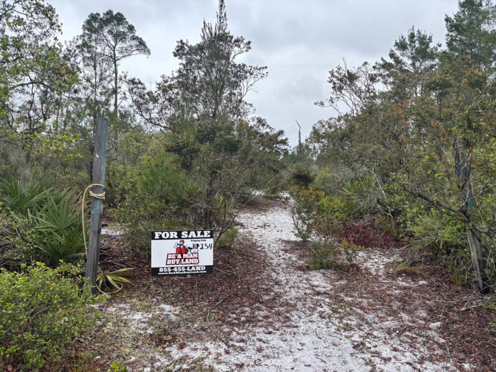 sign.jpg