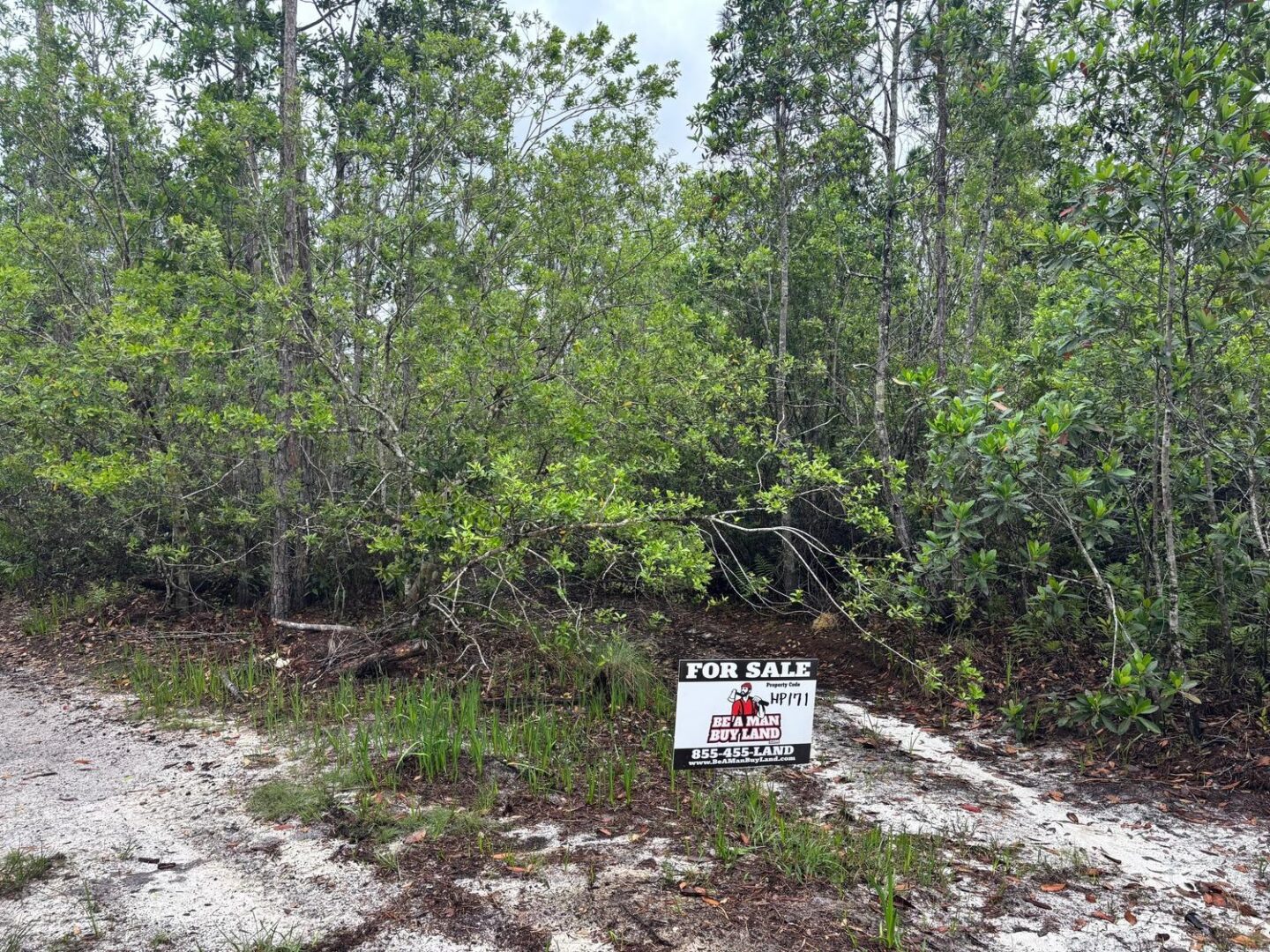 sign-2.jpg