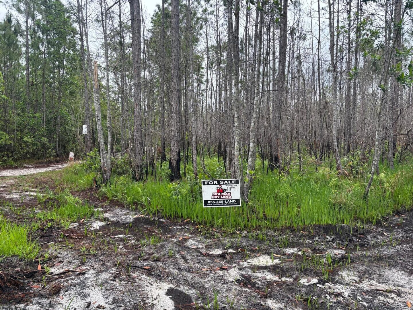 sign-3.jpg