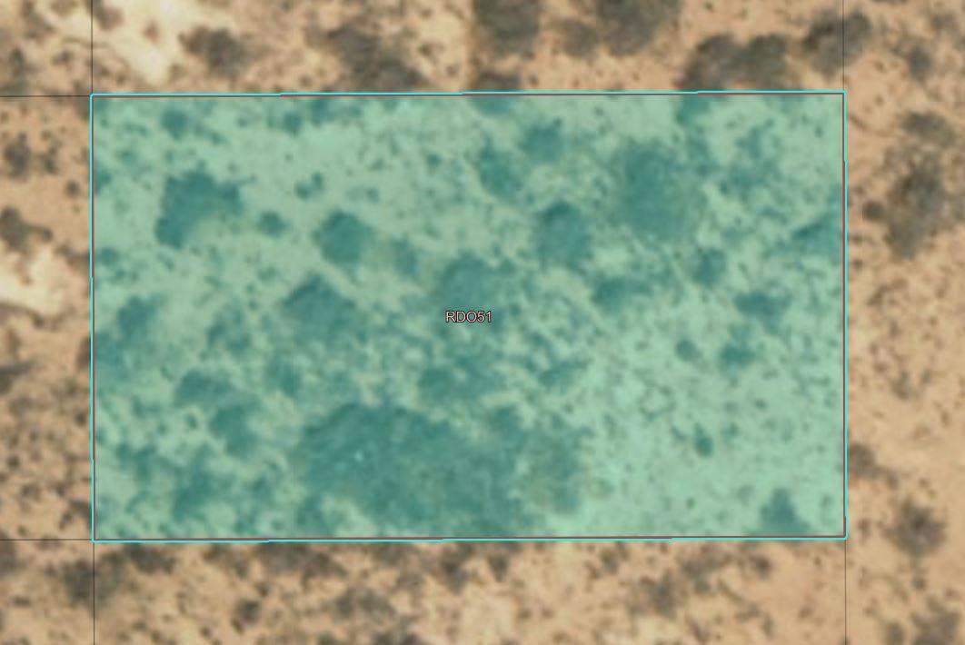 rdo51zoomin.jpg