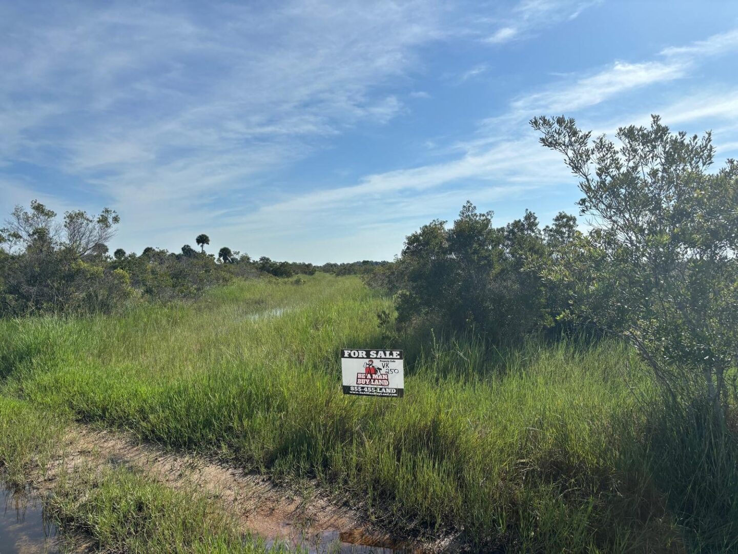 sign-29.jpg