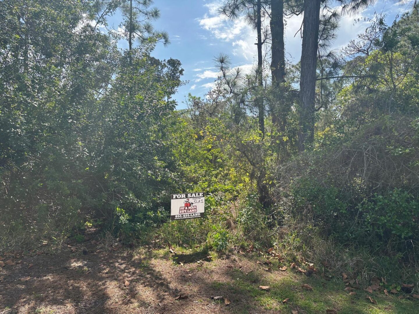 sign-3.jpg