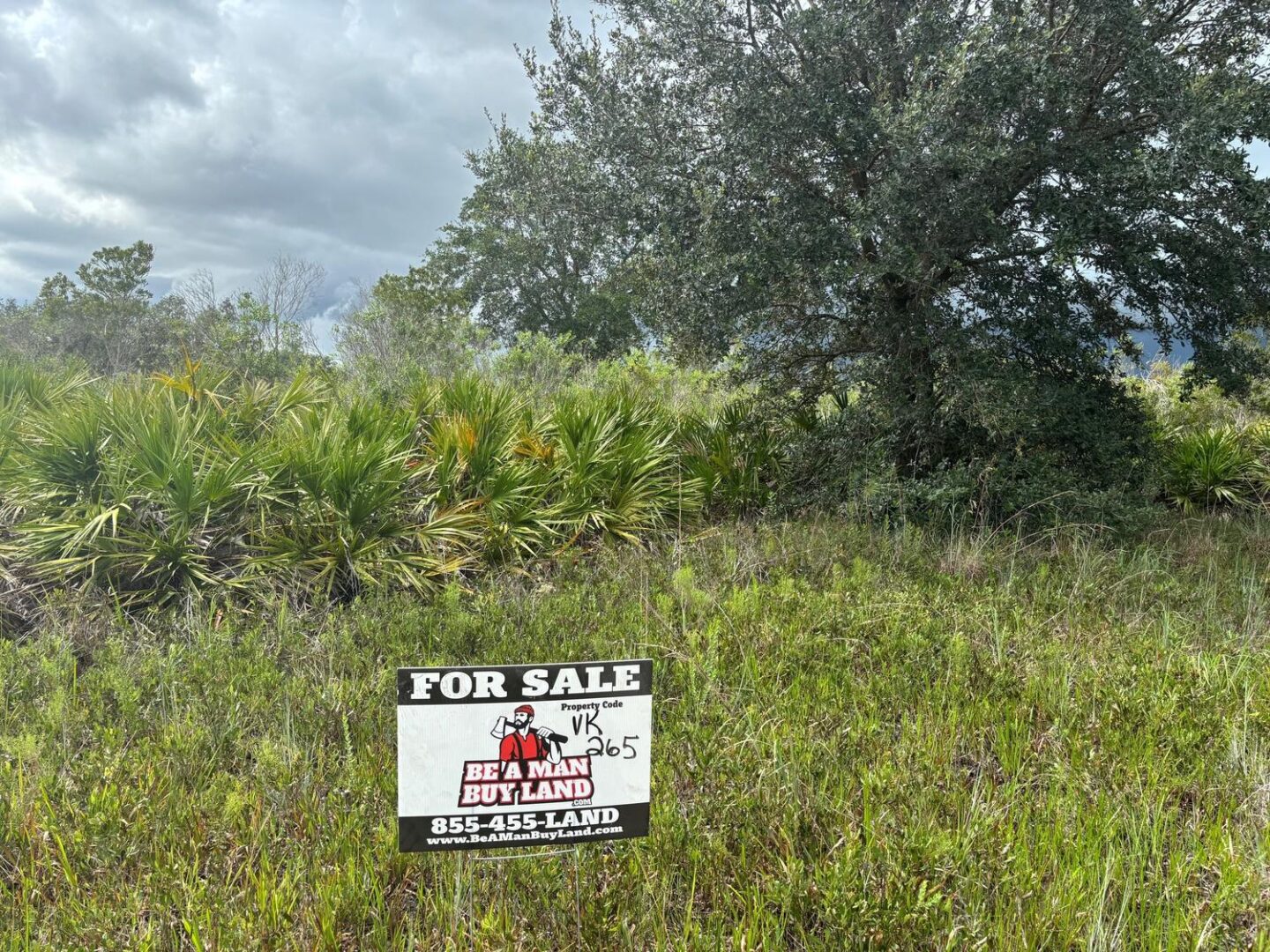 sign-4.jpg