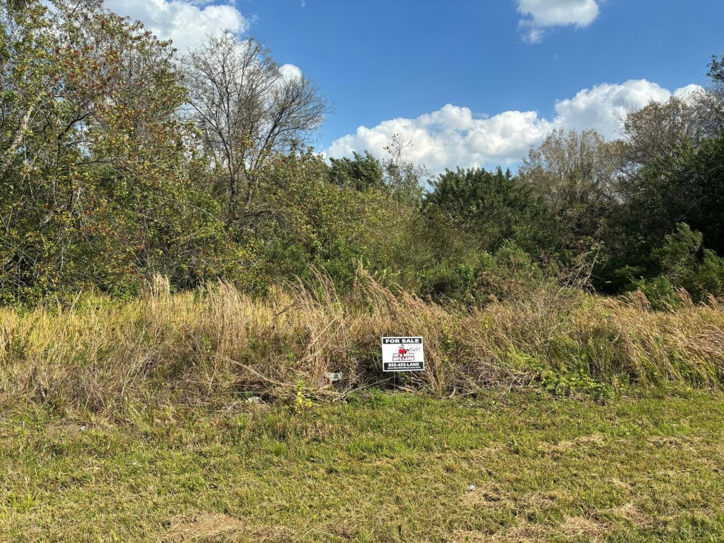 signpic.jpg