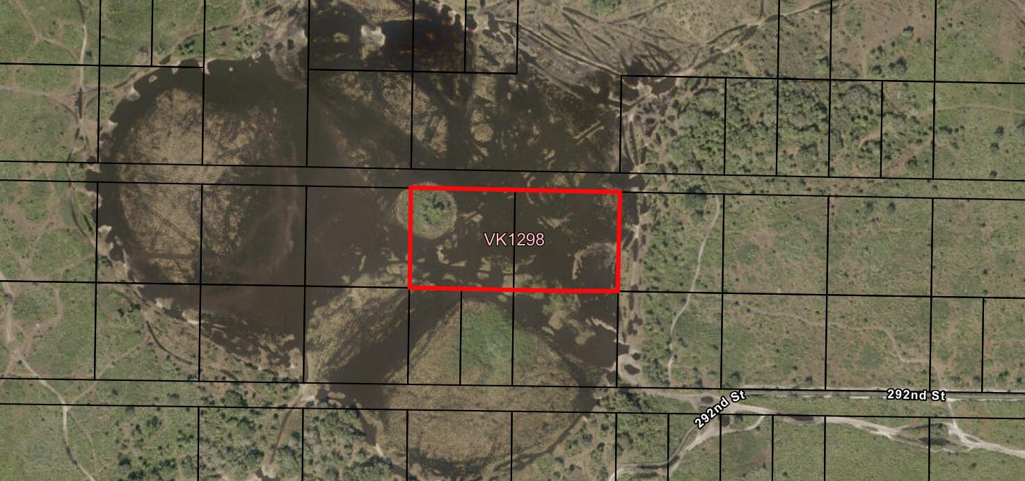 vk1298zoomin.jpg