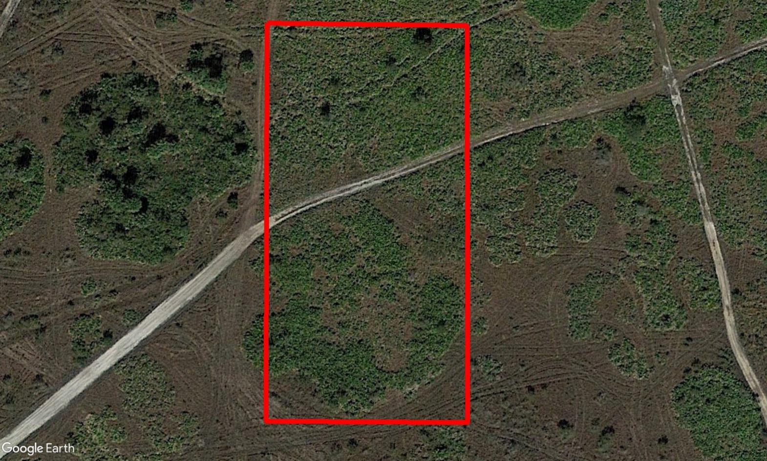 vk2203zoomin2.jpg