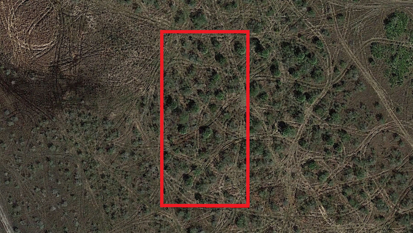 zoomin.jpg