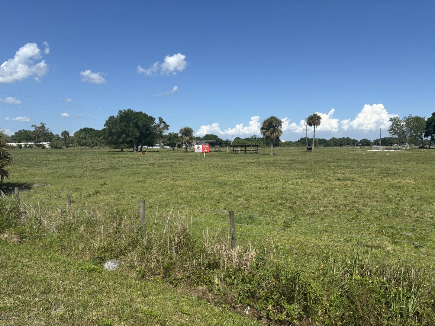 img_3841.jpeg