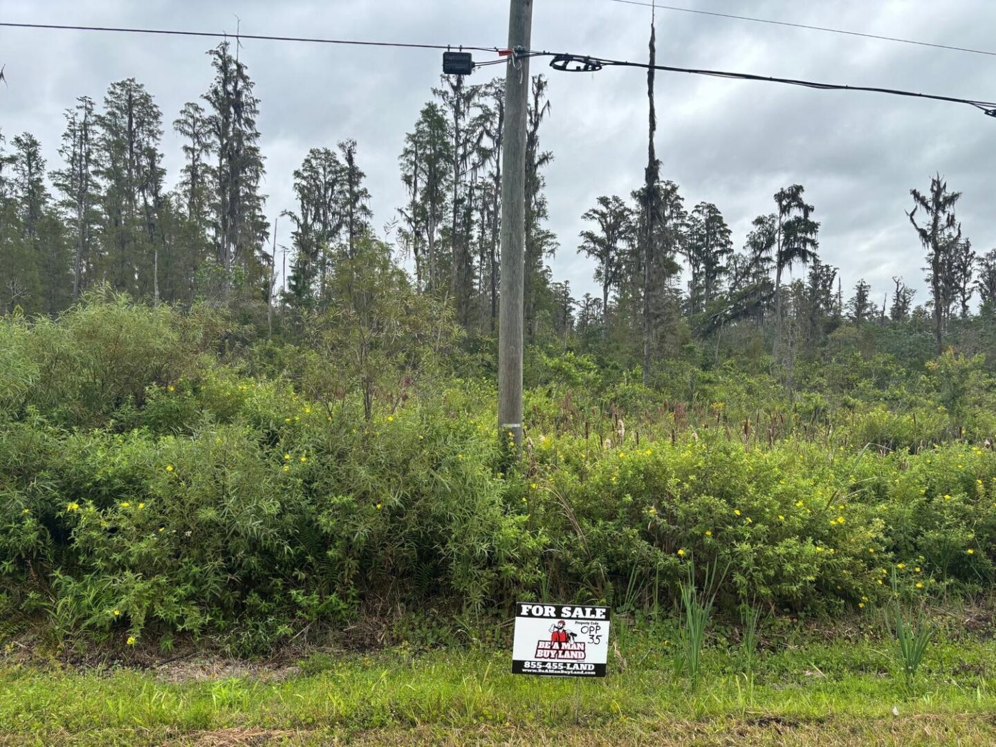 sign-28.jpg