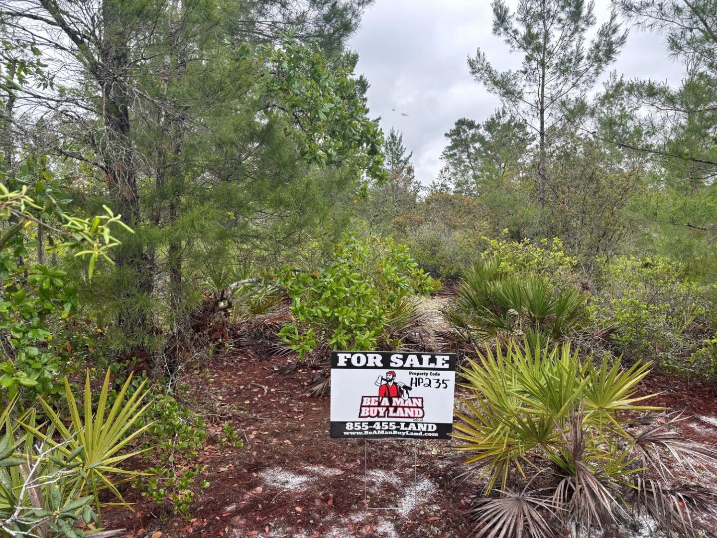 sign-3.jpg