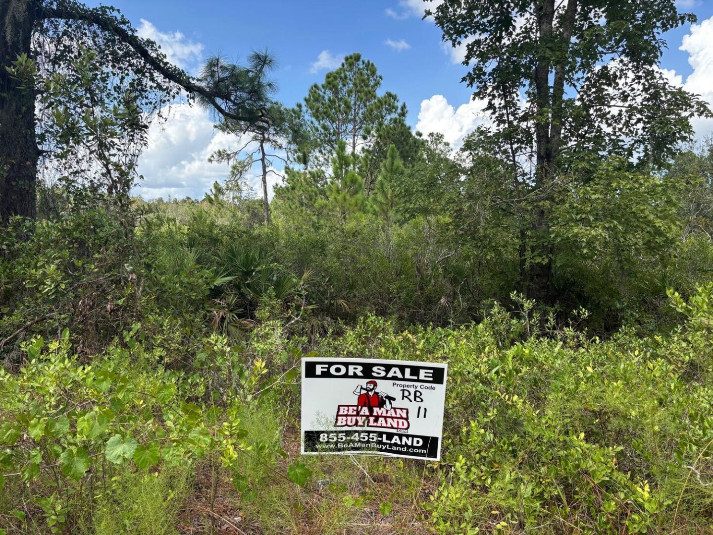 sign-12.jpg
