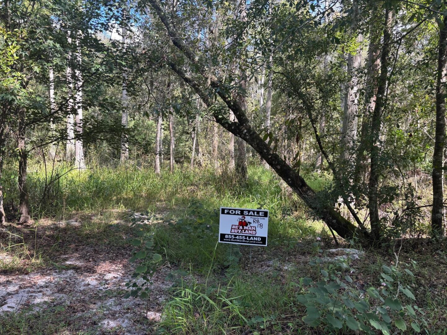 sign-2.jpg