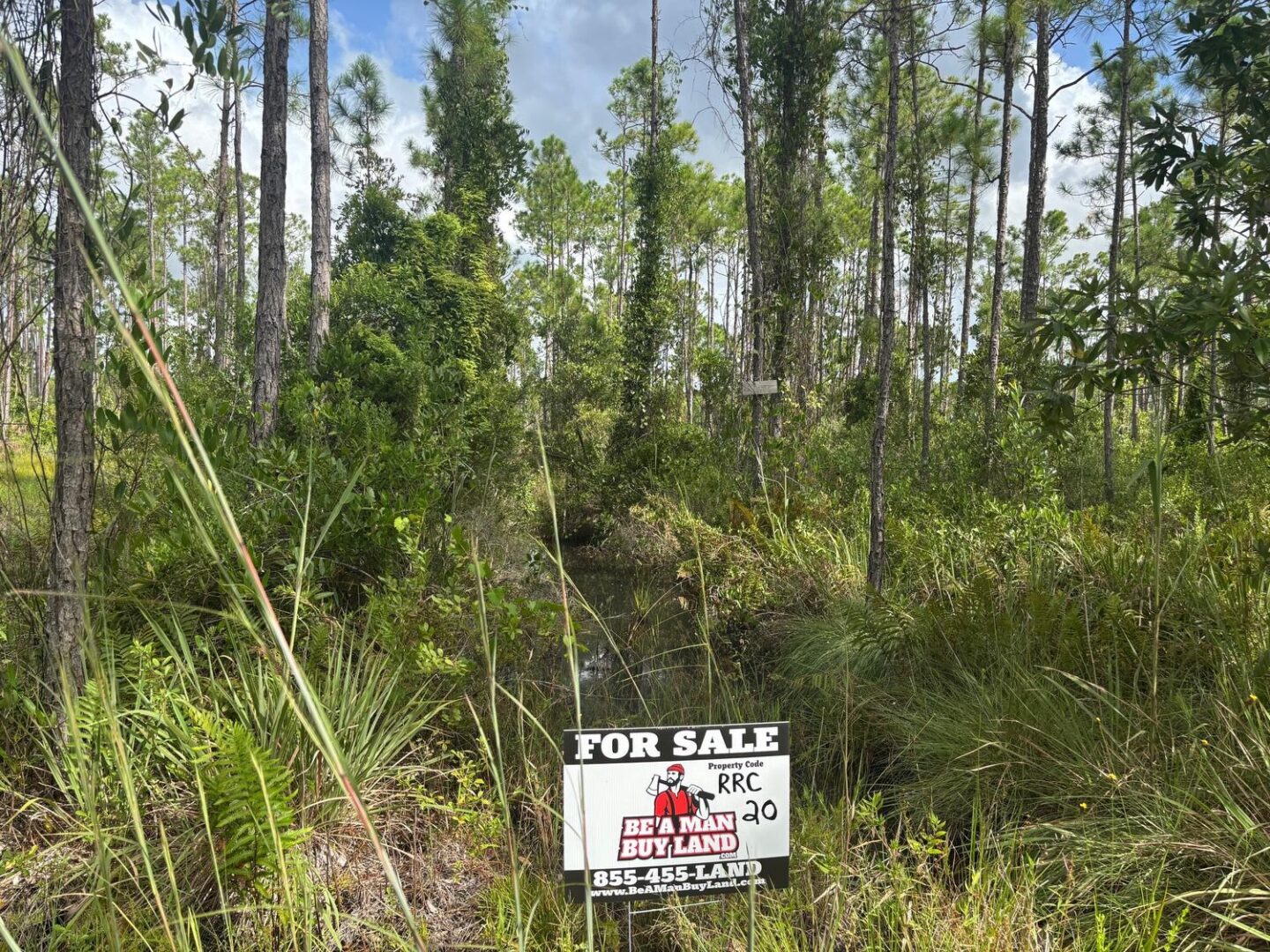 sign2-1.jpg