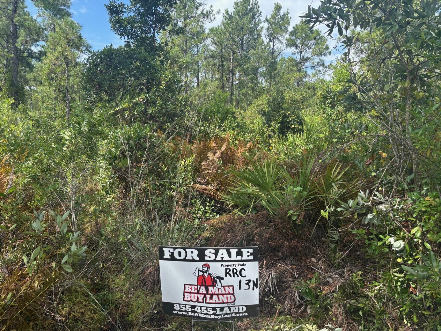 sign2.jpg