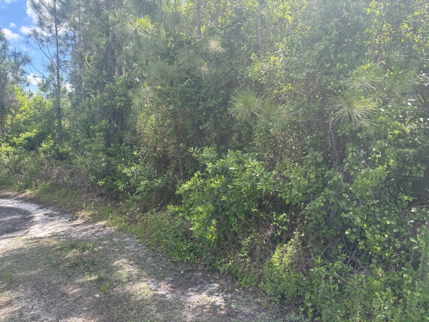 img_7454.jpeg