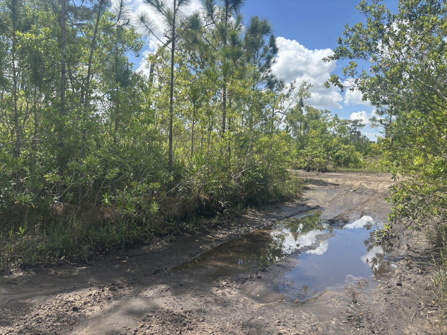 img_7471.jpeg