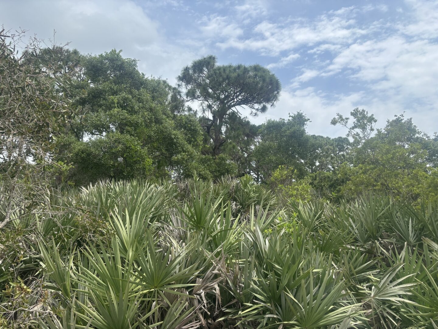 img_7721-2.jpeg