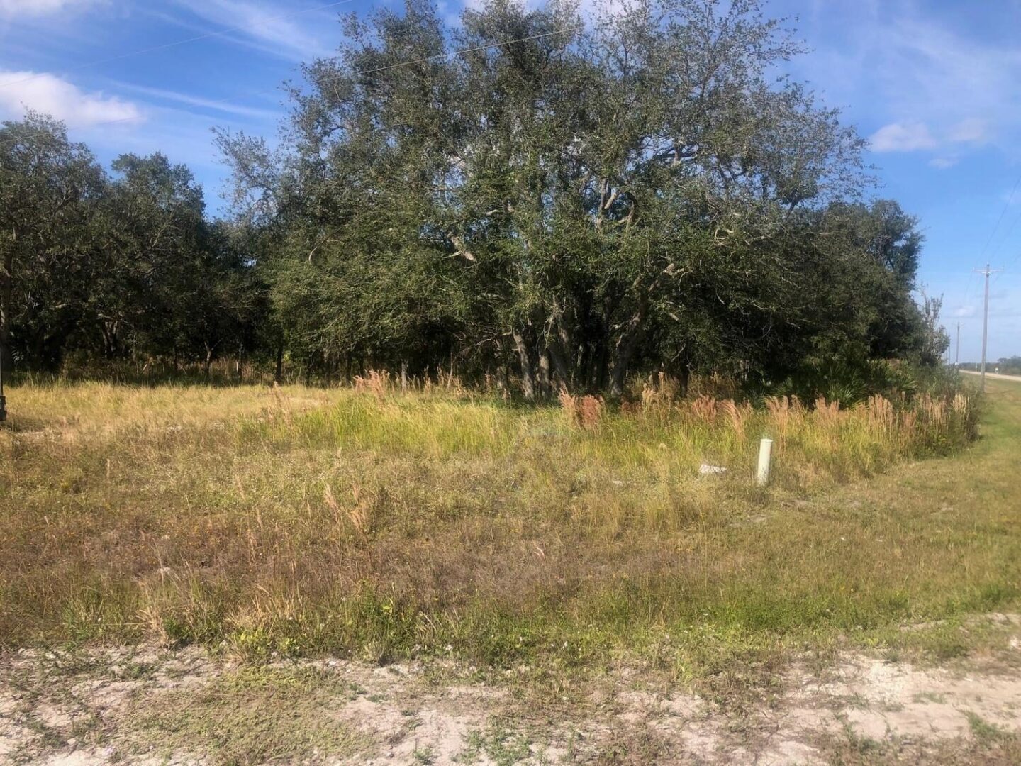 vk2964signremoved.jpg