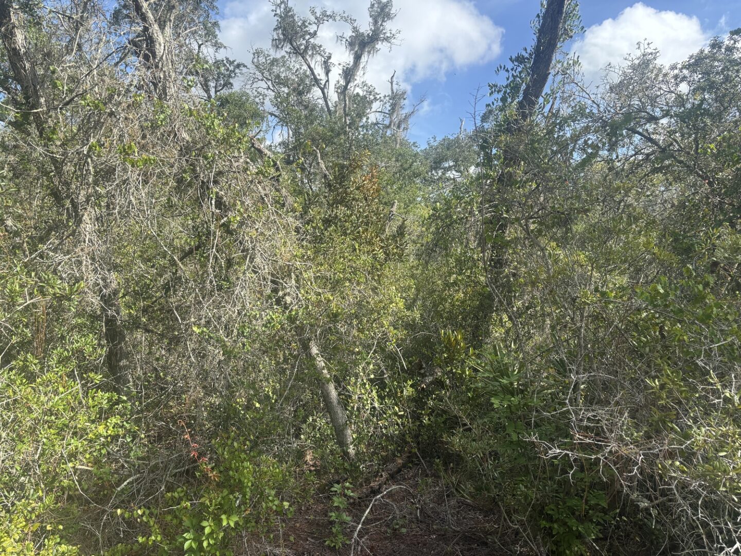 img_8932.jpeg