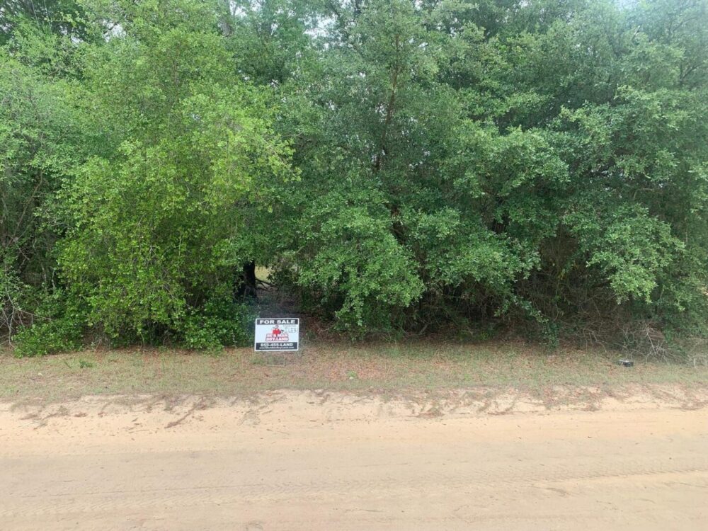 ile31.jpg
