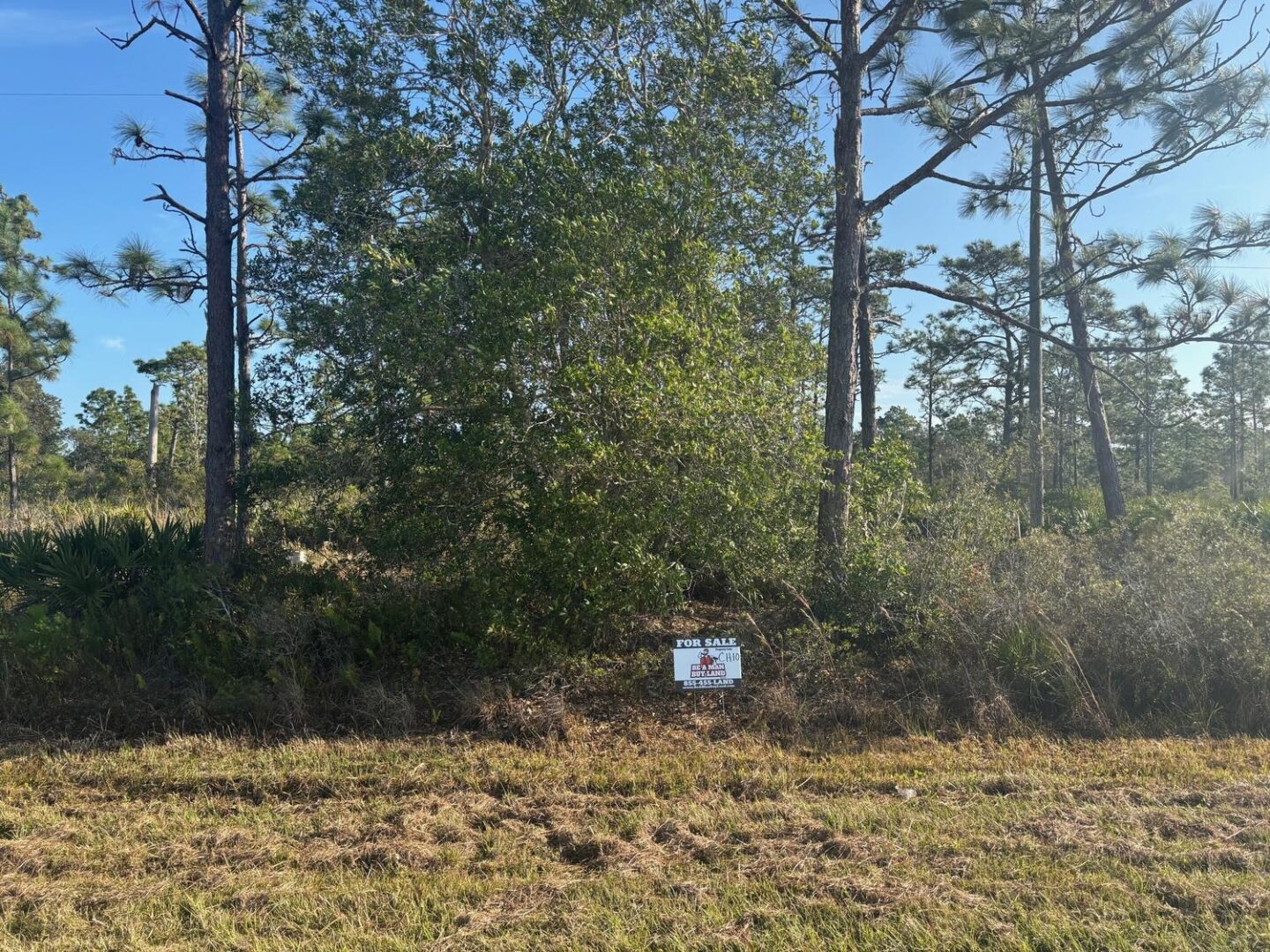 sign15.jpg