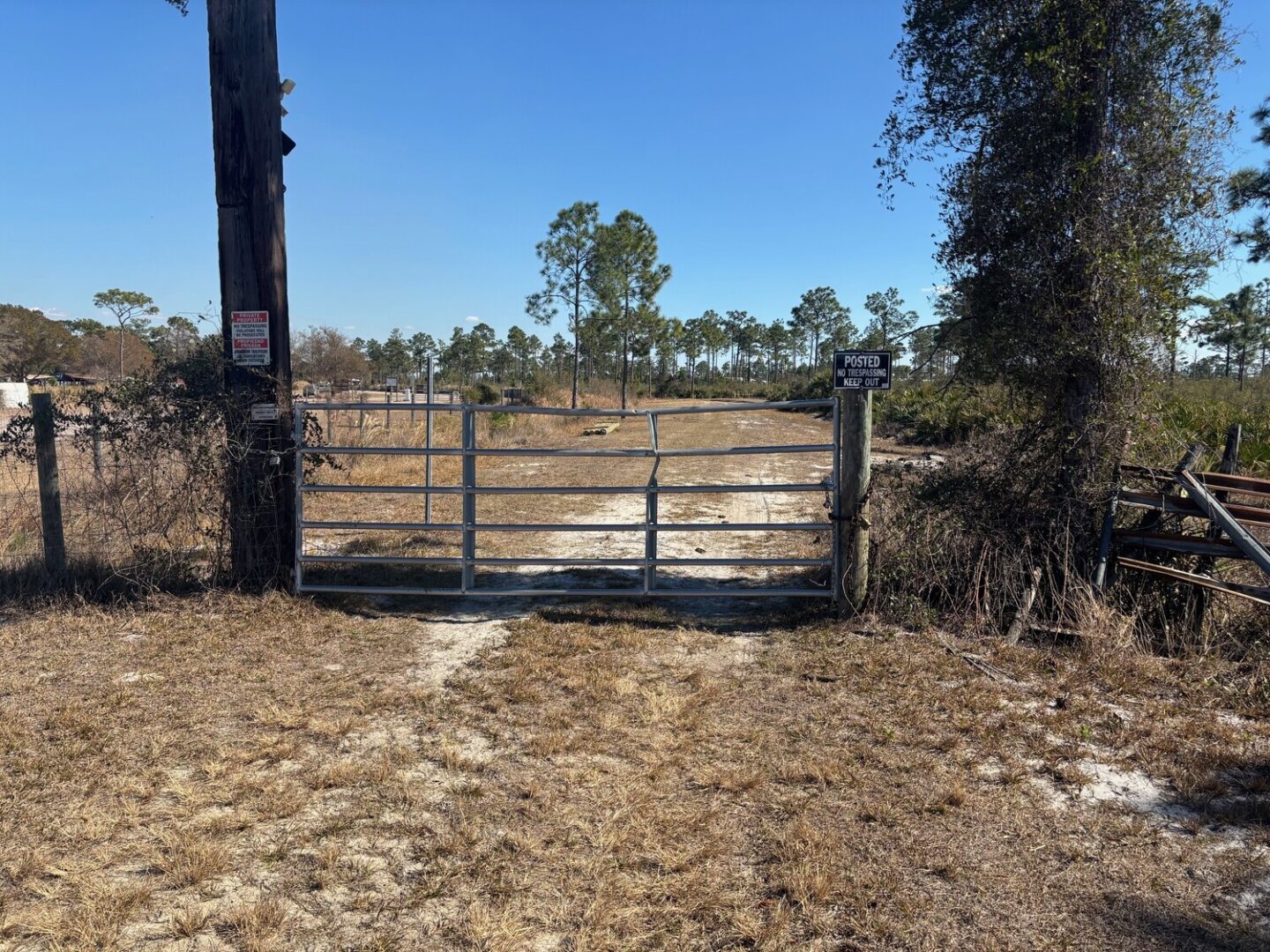 gate.jpg
